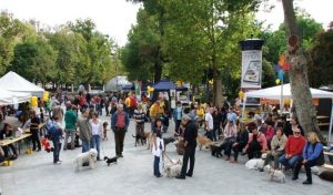 EB OVO Piknik, a felelős kutyatartók közösségének szervezése